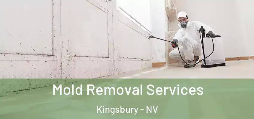  Mold Removal Services Kingsbury - NV