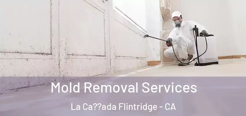 Mold Removal Services La Ca??ada Flintridge - CA