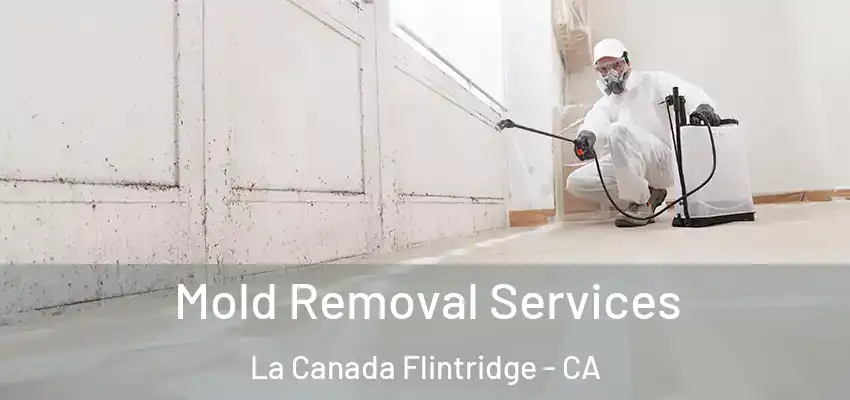  Mold Removal Services La Canada Flintridge - CA