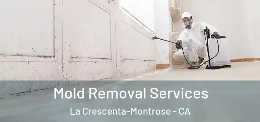  Mold Removal Services La Crescenta-Montrose - CA