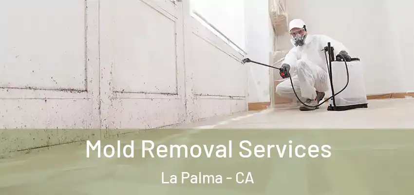 Mold Removal Services La Palma - CA