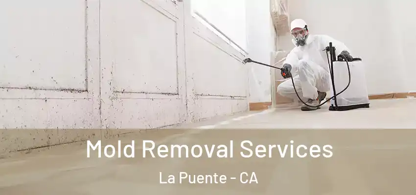 Mold Removal Services La Puente - CA