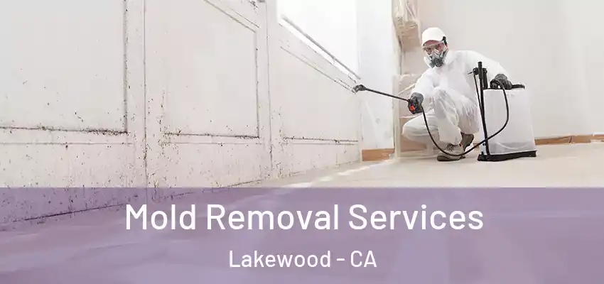  Mold Removal Services Lakewood - CA