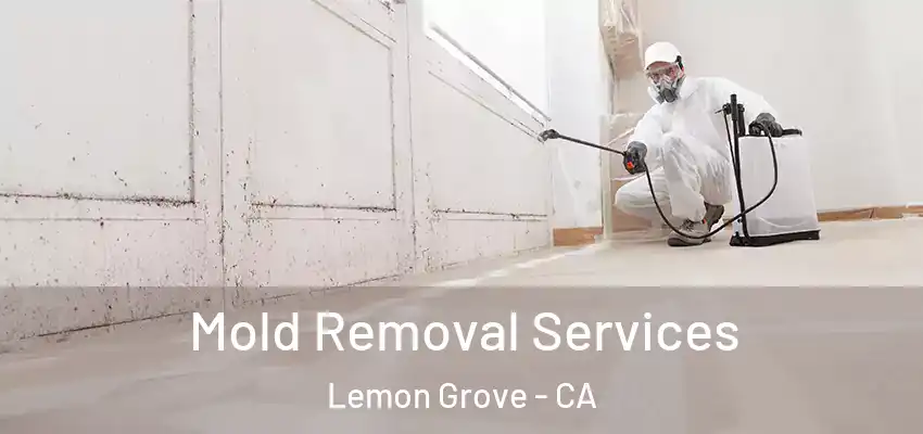  Mold Removal Services Lemon Grove - CA