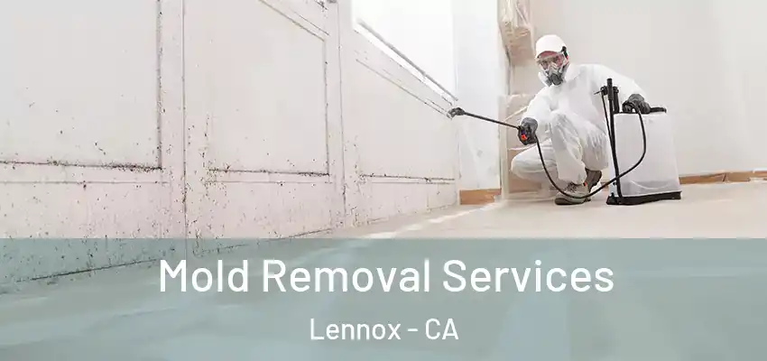  Mold Removal Services Lennox - CA