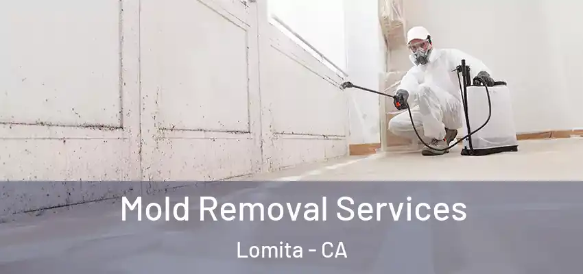  Mold Removal Services Lomita - CA