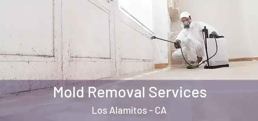  Mold Removal Services Los Alamitos - CA
