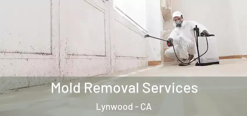  Mold Removal Services Lynwood - CA