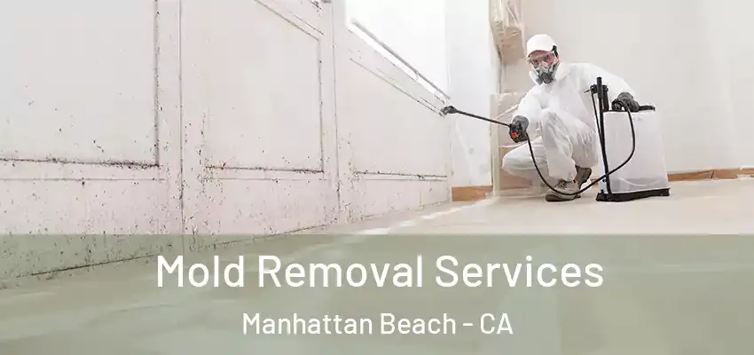  Mold Removal Services Manhattan Beach - CA