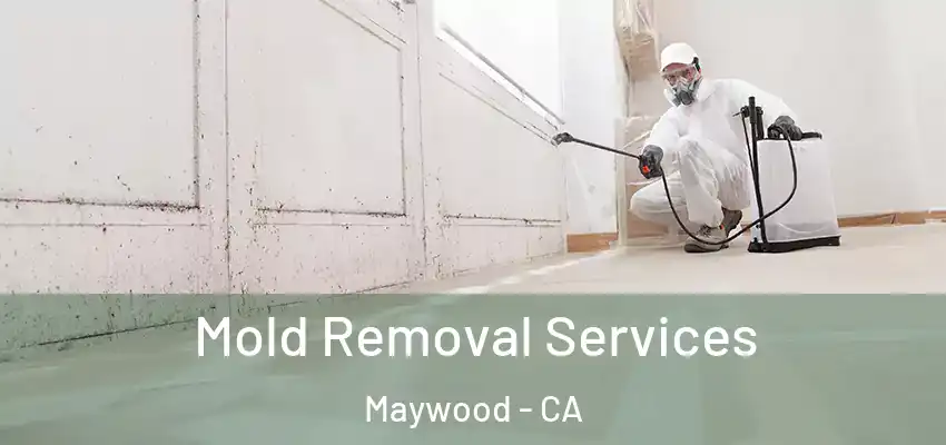 Mold Removal Services Maywood - CA