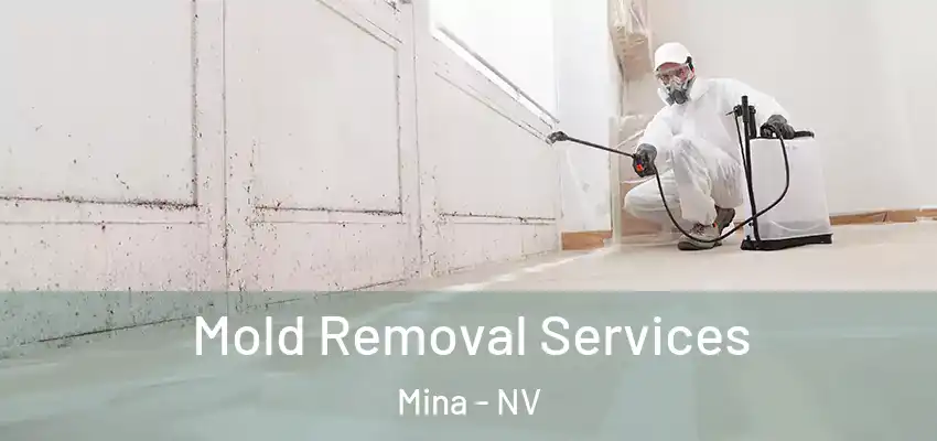  Mold Removal Services Mina - NV