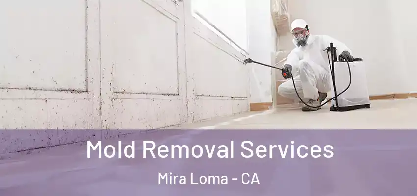  Mold Removal Services Mira Loma - CA
