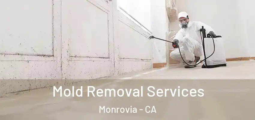 Mold Removal Services Monrovia - CA