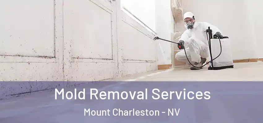  Mold Removal Services Mount Charleston - NV