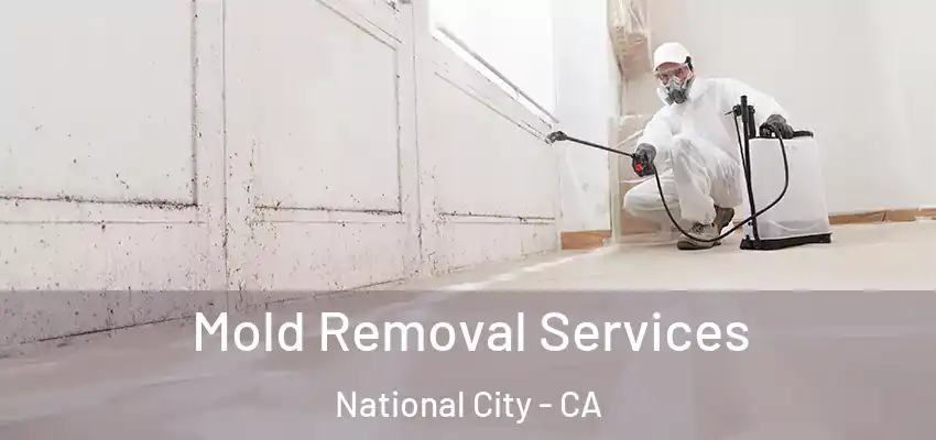  Mold Removal Services National City - CA