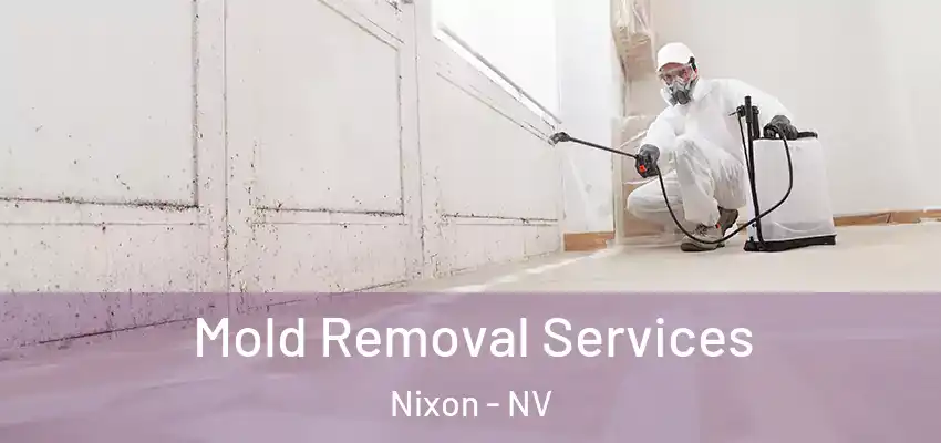 Mold Removal Services Nixon - NV