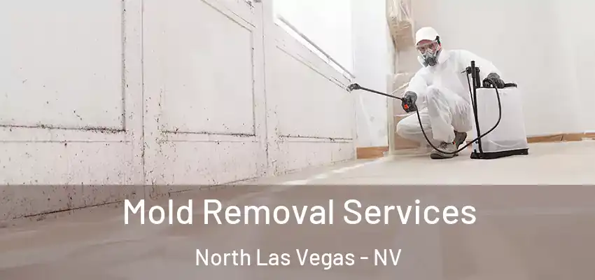  Mold Removal Services North Las Vegas - NV