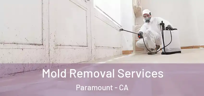  Mold Removal Services Paramount - CA