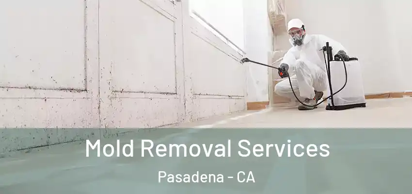  Mold Removal Services Pasadena - CA