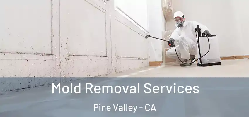  Mold Removal Services Pine Valley - CA