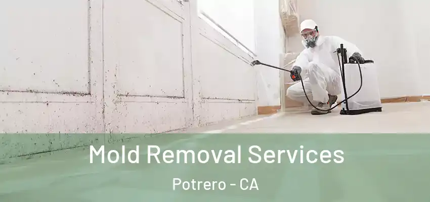 Mold Removal Services Potrero - CA