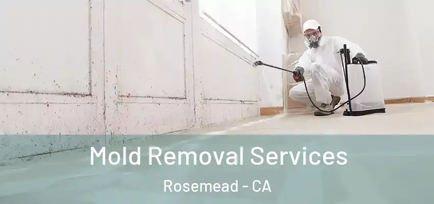  Mold Removal Services Rosemead - CA