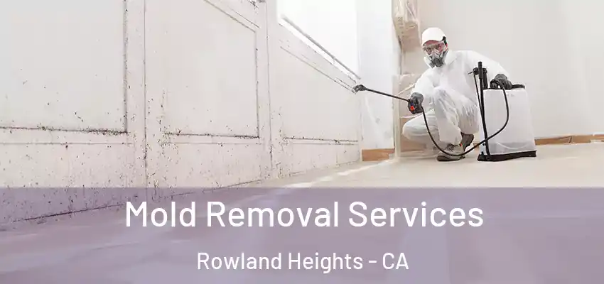  Mold Removal Services Rowland Heights - CA