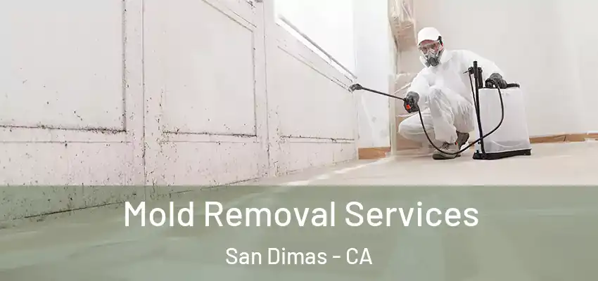  Mold Removal Services San Dimas - CA