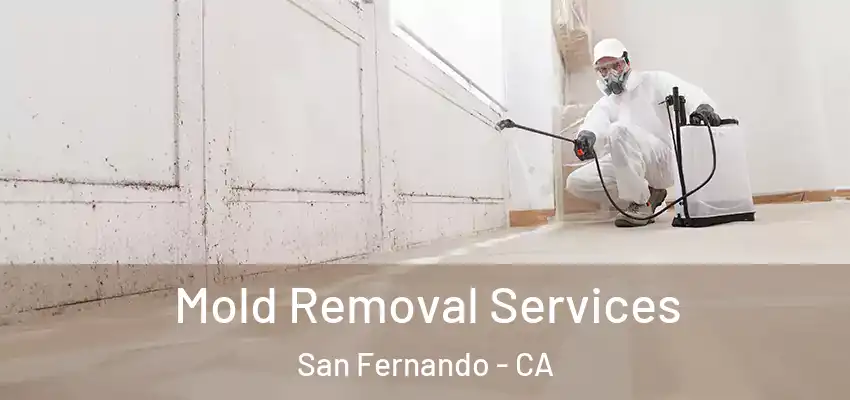  Mold Removal Services San Fernando - CA