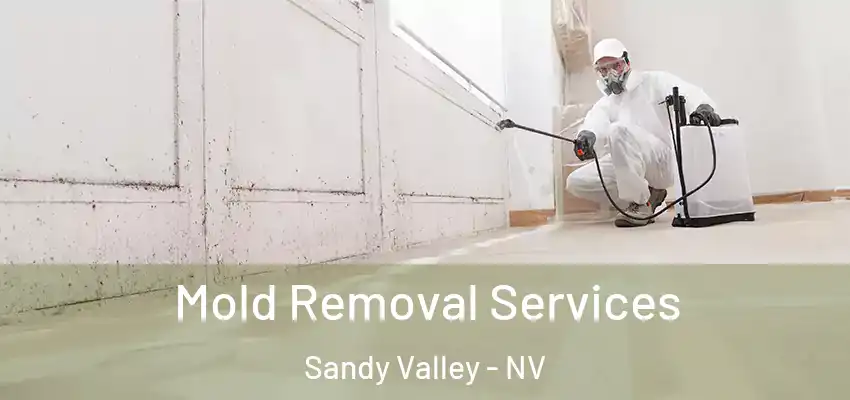  Mold Removal Services Sandy Valley - NV