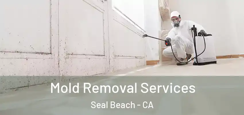  Mold Removal Services Seal Beach - CA