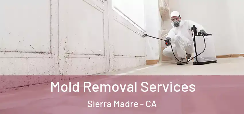 Mold Removal Services Sierra Madre - CA