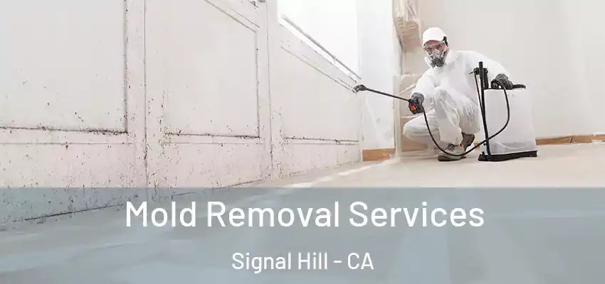  Mold Removal Services Signal Hill - CA