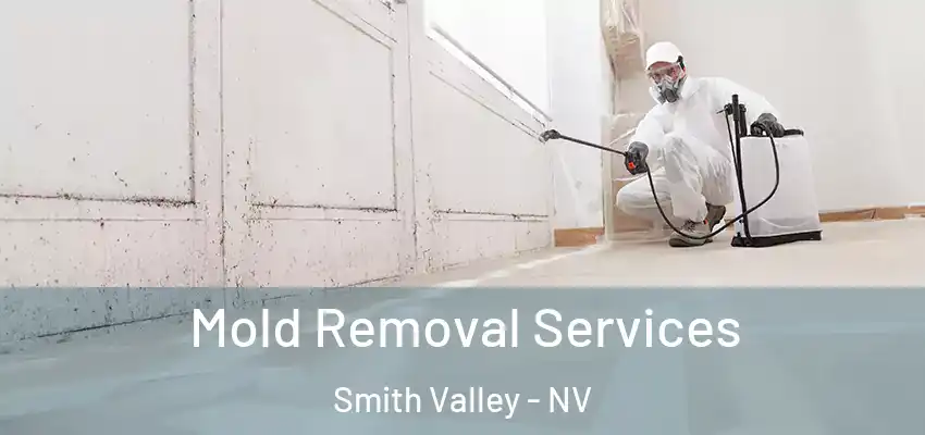  Mold Removal Services Smith Valley - NV