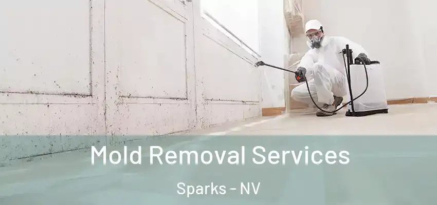 Mold Removal Services Sparks - NV