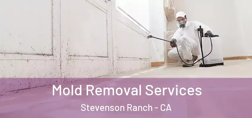 Mold Removal Services Stevenson Ranch - CA
