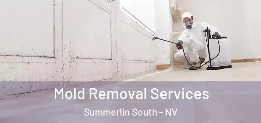  Mold Removal Services Summerlin South - NV
