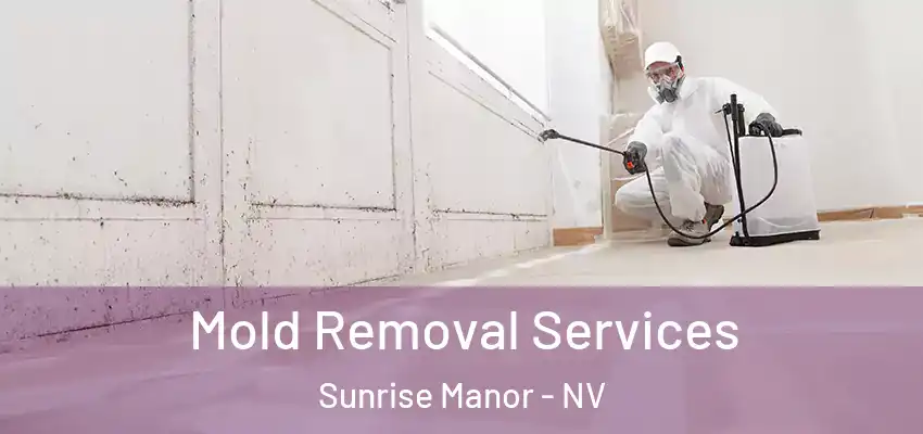 Mold Removal Services Sunrise Manor - NV
