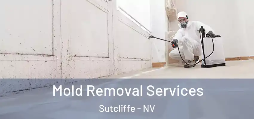  Mold Removal Services Sutcliffe - NV