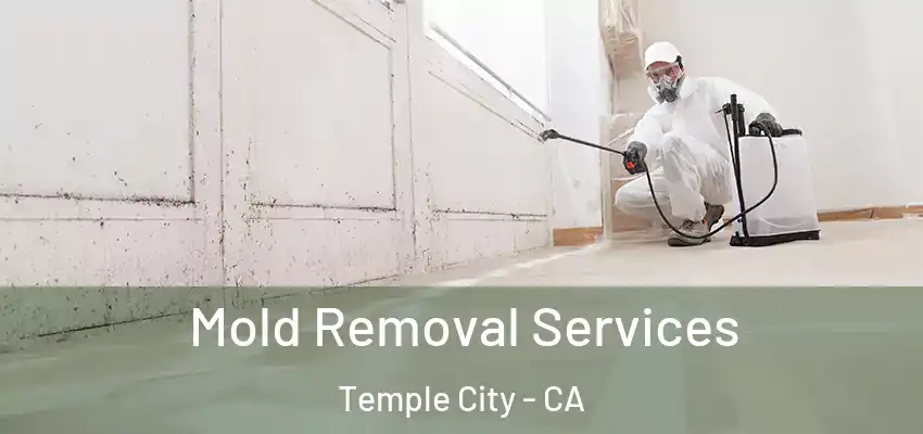  Mold Removal Services Temple City - CA