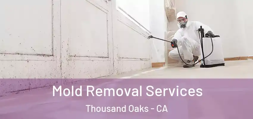  Mold Removal Services Thousand Oaks - CA