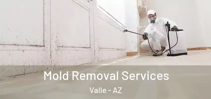  Mold Removal Services Valle - AZ