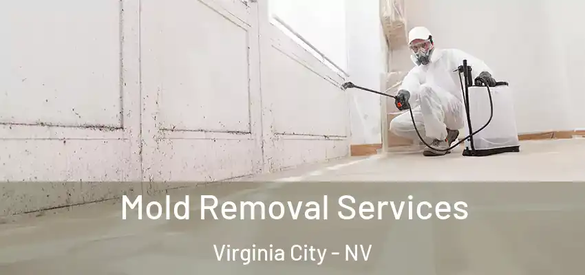  Mold Removal Services Virginia City - NV