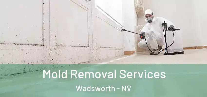  Mold Removal Services Wadsworth - NV