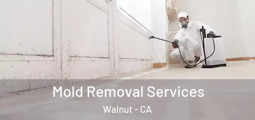  Mold Removal Services Walnut - CA