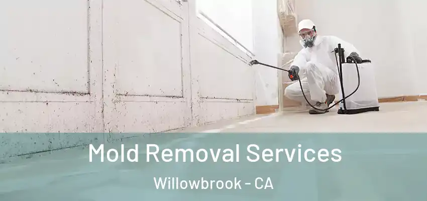  Mold Removal Services Willowbrook - CA