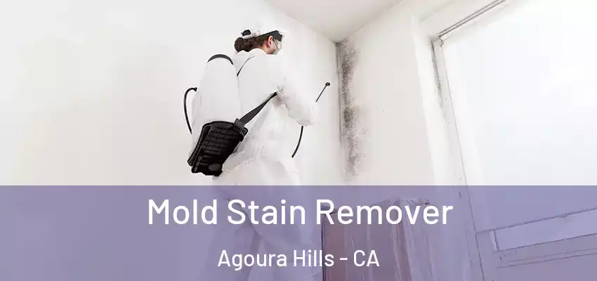  Mold Stain Remover Agoura Hills - CA