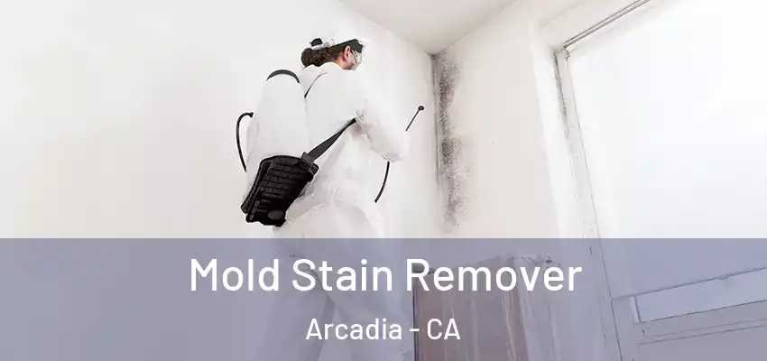  Mold Stain Remover Arcadia - CA