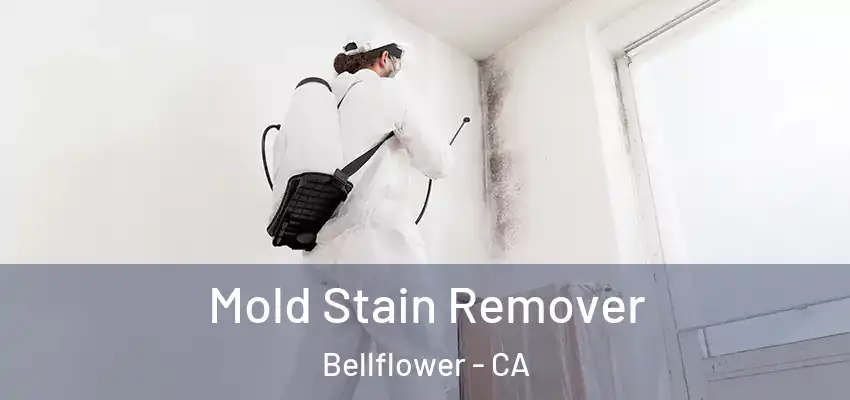  Mold Stain Remover Bellflower - CA