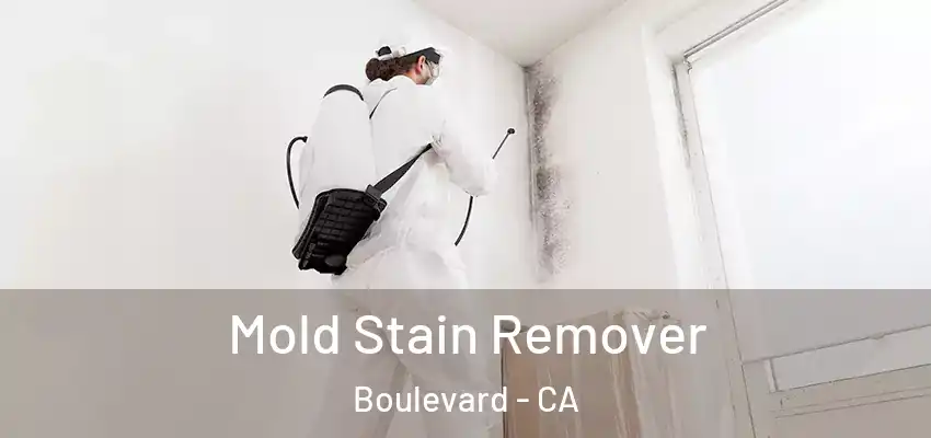  Mold Stain Remover Boulevard - CA